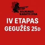 Vilniaus Karate Lyga IV etapas