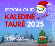Kalėdinė IPPON klubo taurė