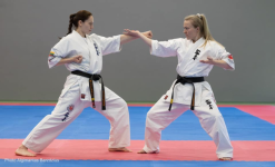 Lietuvos kiokušin karatė vaikų-jaunučių čempionatas (kata rungtis)