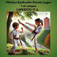 Vilniaus Karate Lyga I etapas